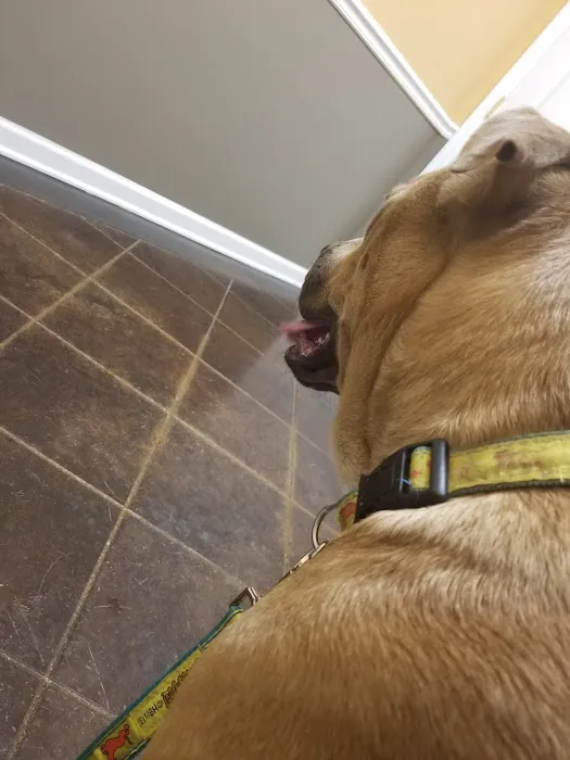 Greenview Veterinary Hospital 12