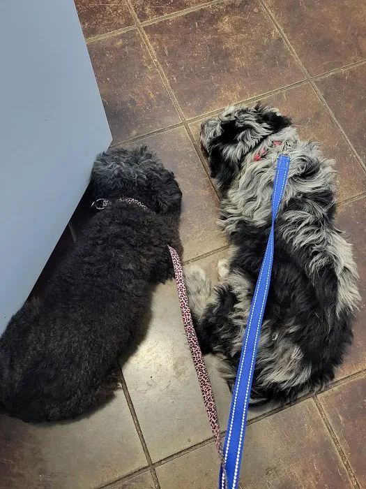 Greenview Veterinary Hospital 12