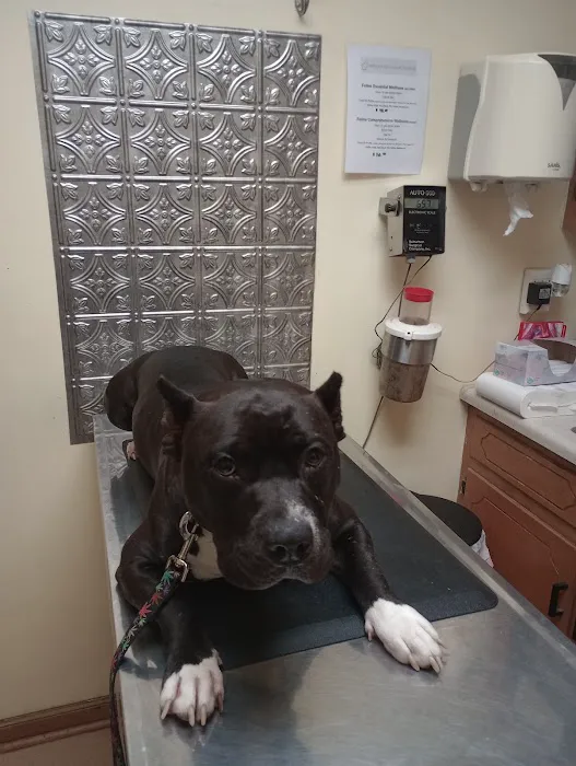 Hohenwald Animal Hospital 12