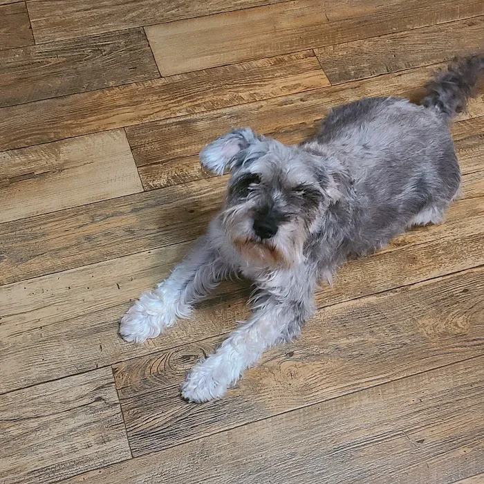 Hohenwald Animal Hospital: Steven Scott DVM 12