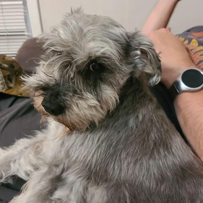 Hohenwald Animal Hospital: Steven Scott DVM 12