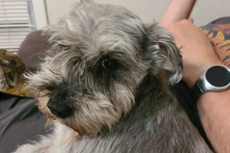 Hohenwald Animal Hospital: Steven Scott DVM