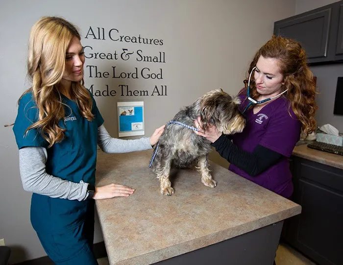 Snodgrass Veterinary Medical Center 8