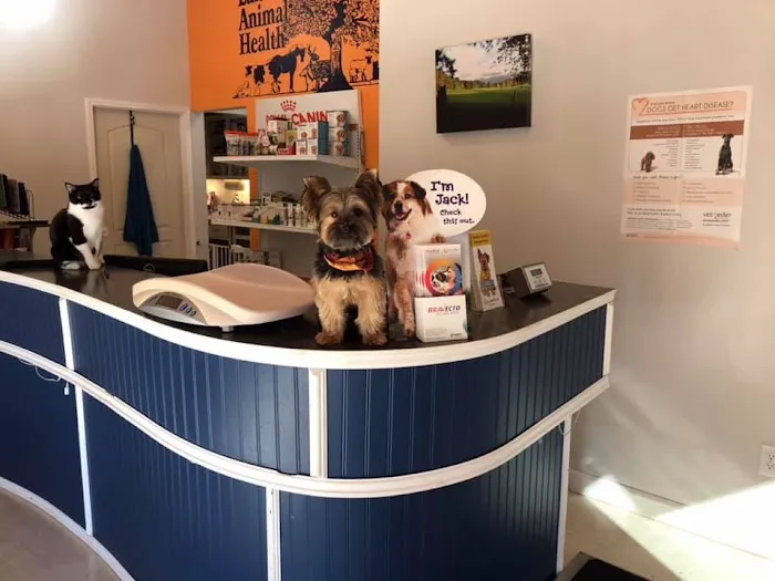 Lakeside Animal Health 8