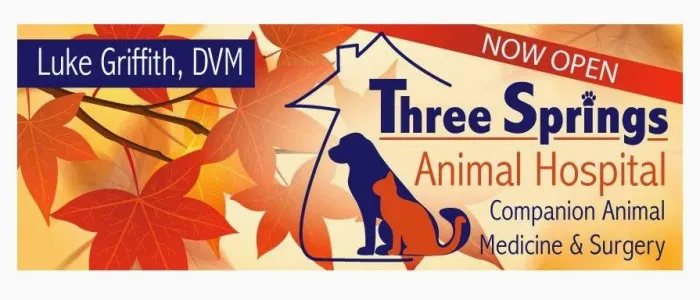 Three Springs Animal Hospital 7