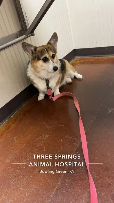 Three Springs Animal Hospital 2
