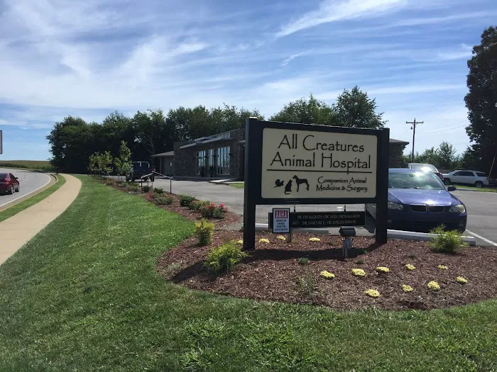 All Creatures Animal Hospital 1