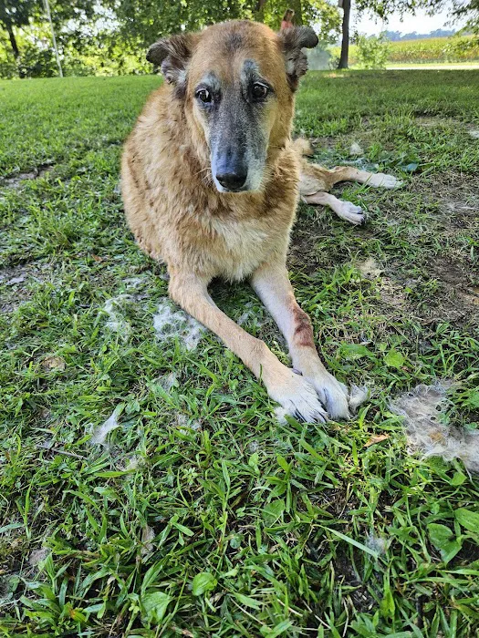 White House Animal Hospital 6