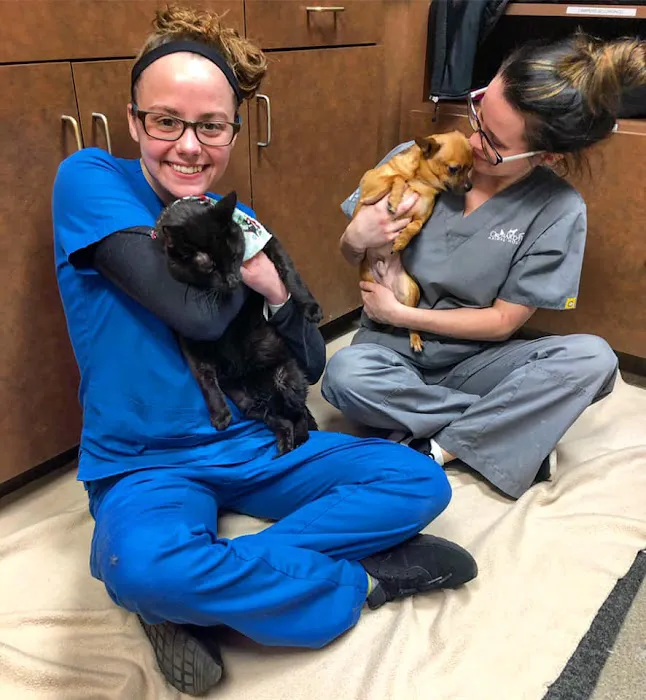 Orchard Park Animal Hospital 12