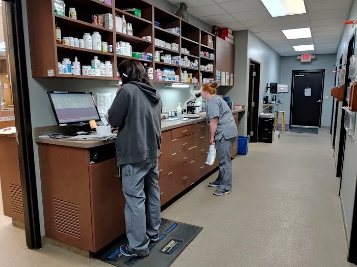 Orchard Park Animal Hospital 12