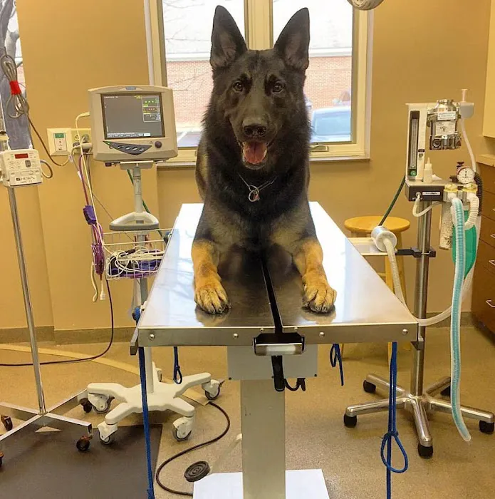 Orchard Park Animal Hospital 12
