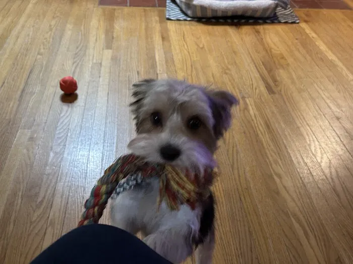 Crocker Animal Hospital LLP 1