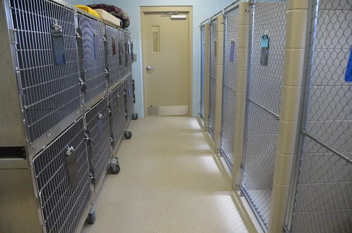 Crocker Animal Hospital LLP 5