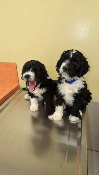 Crocker Animal Hospital LLP 2
