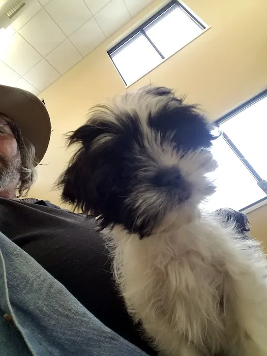 Crocker Animal Hospital LLP 8