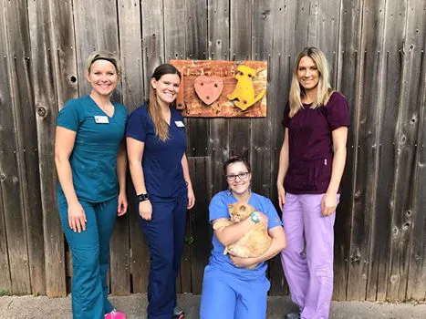 Varga Jeremy DVM - Austin Veterinary Diagnostic Hospital 2