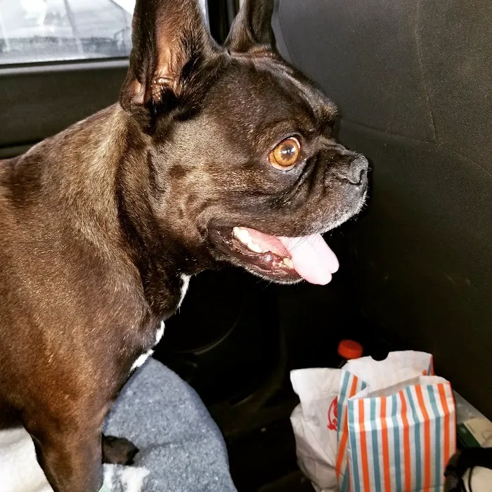 Austin Veterinary Diagnostic Hospital 2