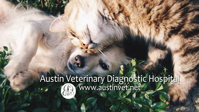 Austin Veterinary Diagnostic Hospital 5