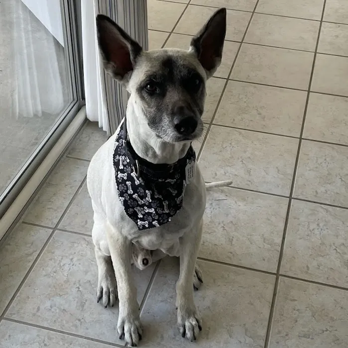 Highland Lakes Veterinary Clinic 4
