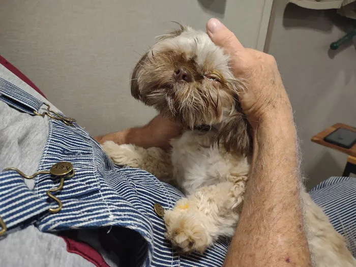 Highland Lakes Veterinary Clinic 6