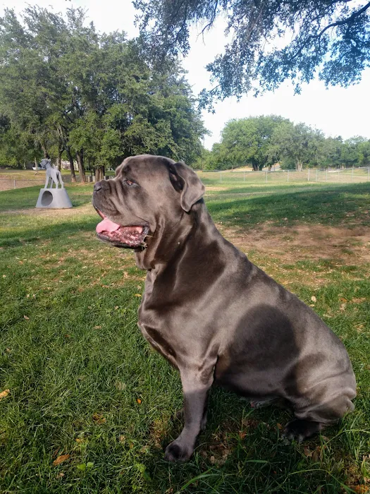 Highland Lakes Veterinary Clinic 10