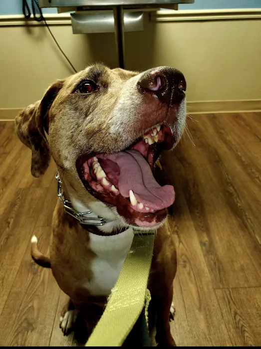 Lake Area Animal Clinic 10