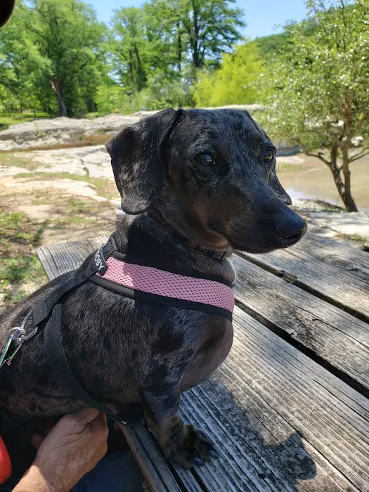 Lake Area Animal Clinic 7