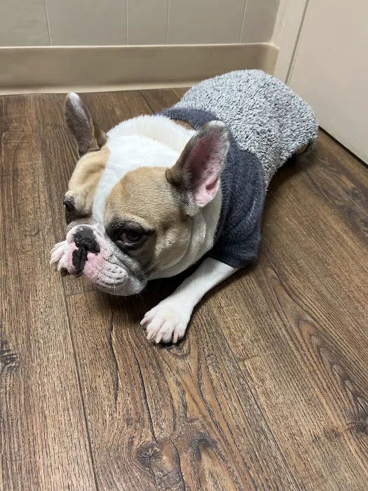 Lake Area Animal Clinic 1