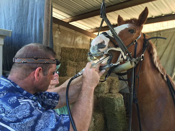 Fry Equine Health Mobile Large Animal Veterinarian 8