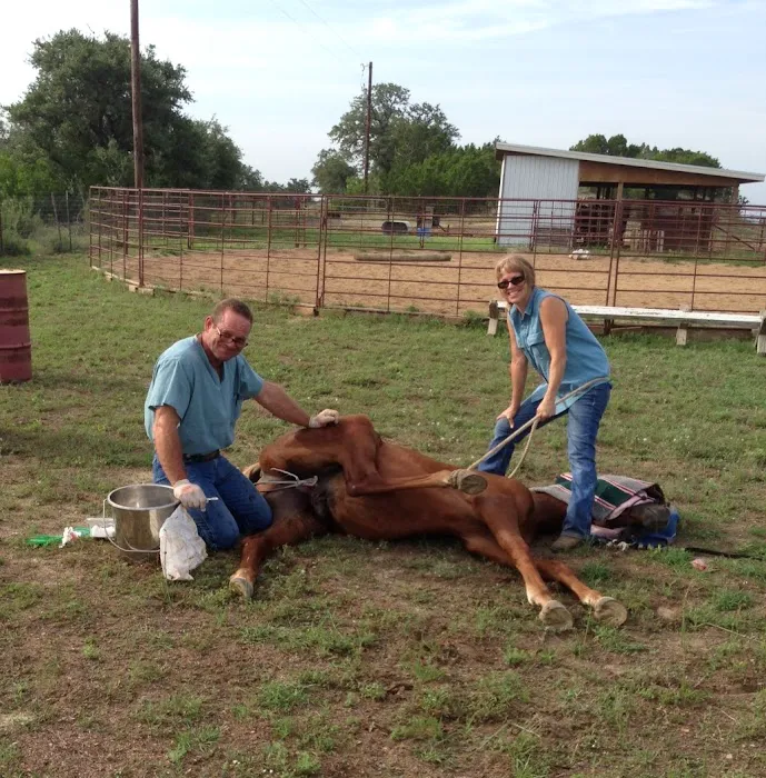 Fry Equine Health Mobile Large Animal Veterinarian 9