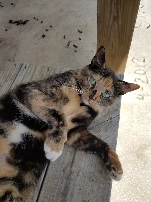 Burnet Veterinary Clinic Inc 3