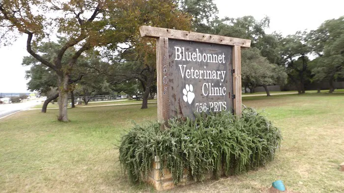 Bluebonnet Veterinary Clinic 4