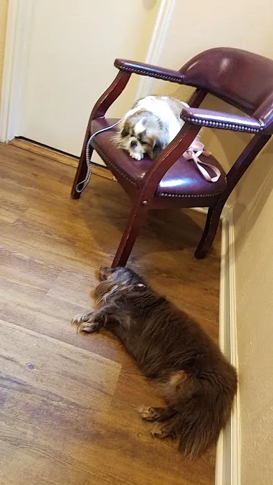 Bluebonnet Veterinary Clinic 5