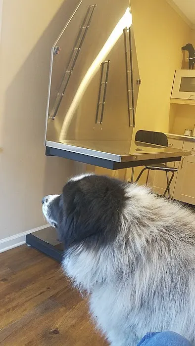Bluebonnet Veterinary Clinic 2
