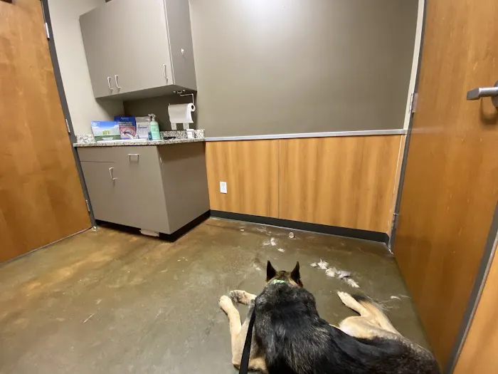Bluebonnet Veterinary Clinic 9