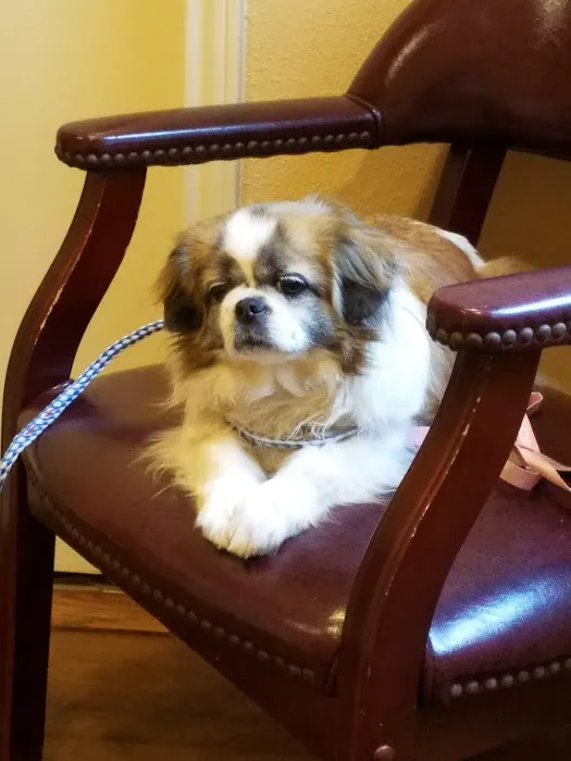 Bluebonnet Veterinary Clinic 1