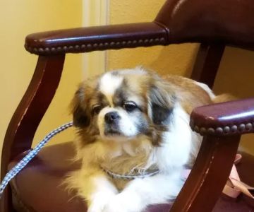 Bluebonnet Veterinary Clinic