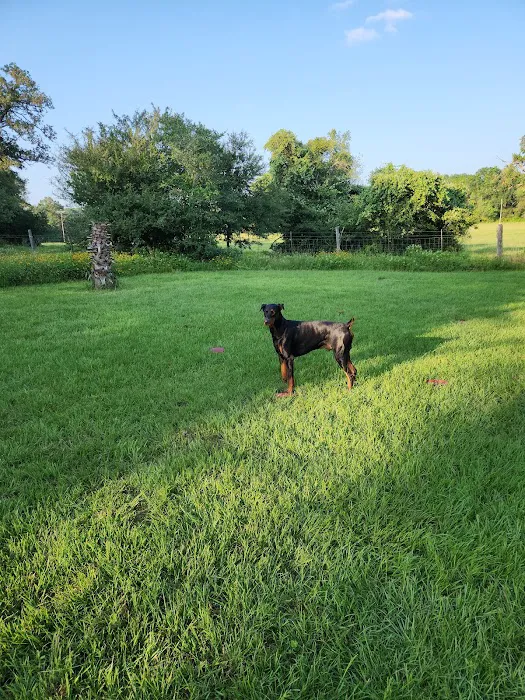 Paleface Veterinary Clinic 10