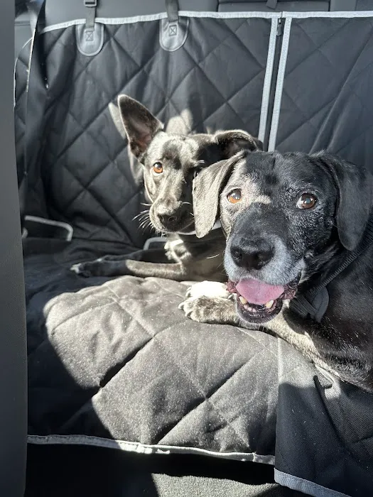 Lago Vista Animal Clinic 1