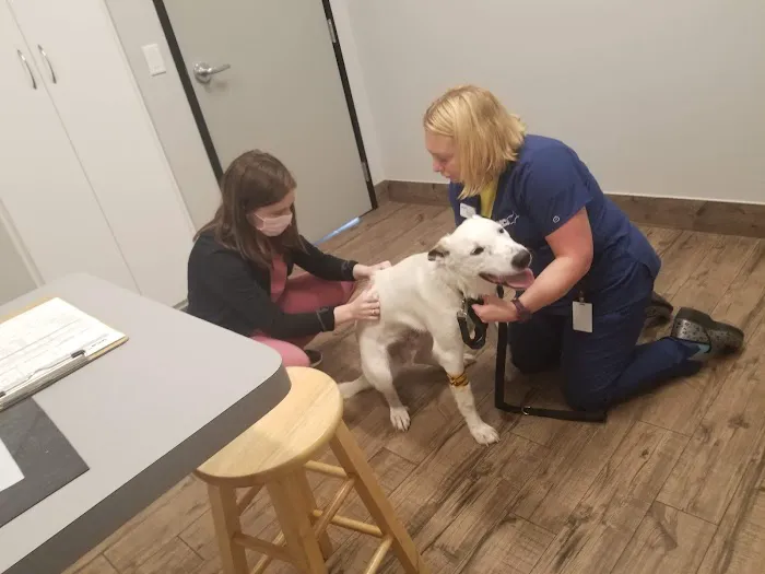 VCA Terrell Animal Hospital 5
