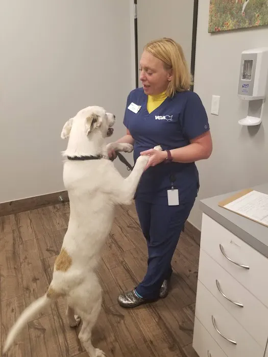 VCA Terrell Animal Hospital 3