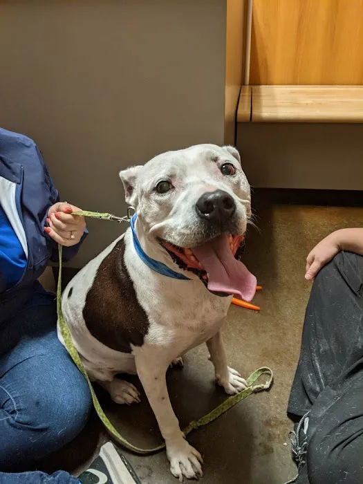 Five Star Veterinary Center 1
