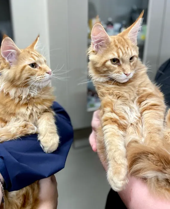 Five Star Veterinary Center 8