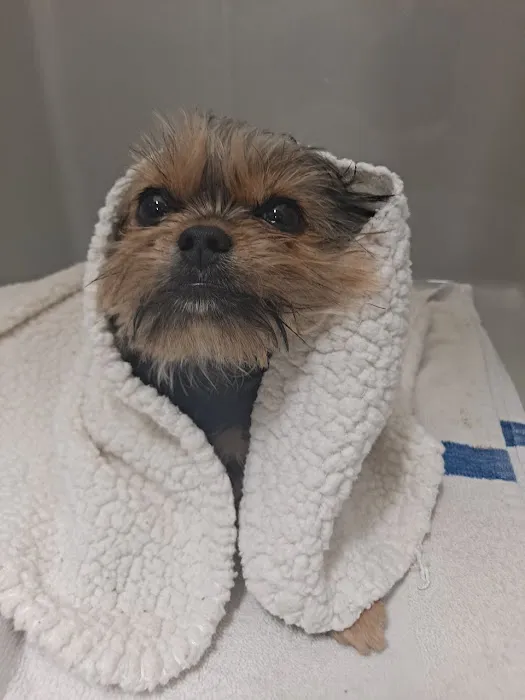 Five Star Veterinary Center 5