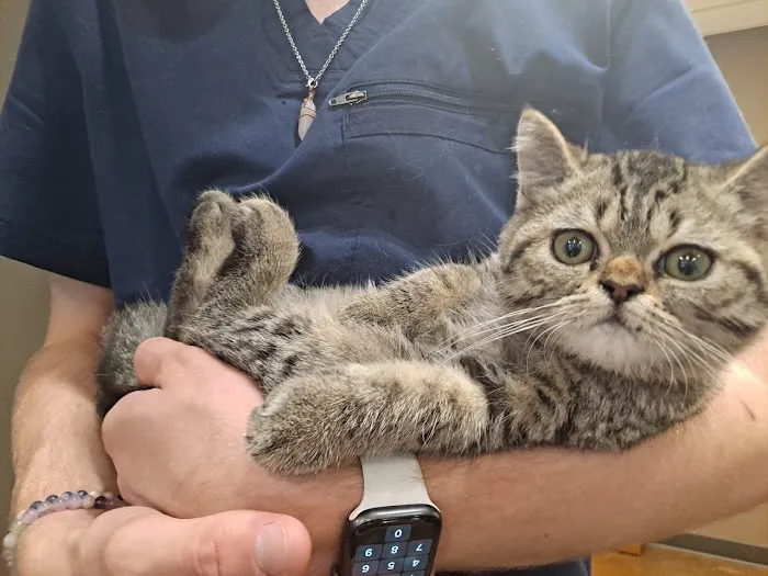 Five Star Veterinary Center 3