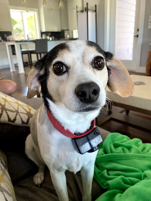 Lake Travis Animal Hospital 5