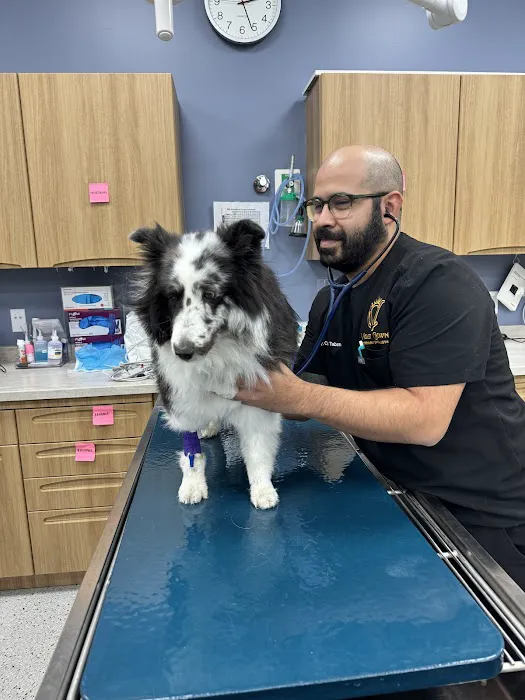 Violet Crown Veterinary Specialists 7