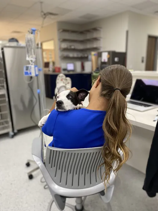 Violet Crown Veterinary Specialists 9