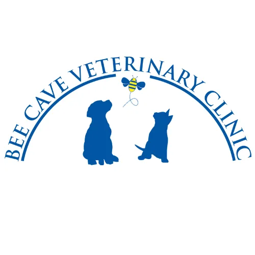 Bee Cave Veterinary Clinic 3