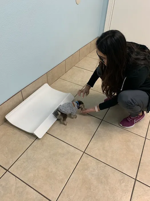 Bee Cave Veterinary Clinic 2